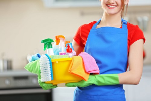 Local gutter cleaning service for homes in Ilford