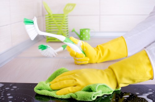 Protective equipment and safety-focused carpet cleaning service in Ilford