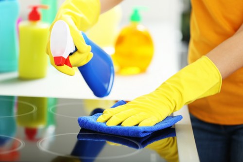 Professional one off cleaning service in an Ilford home