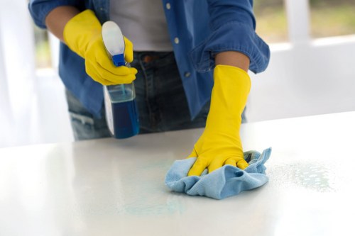 Bathroom surfaces and fixtures being deep cleaned before move in at an Ilford property