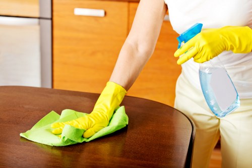 Regular home cleaning for a busy Ilford household